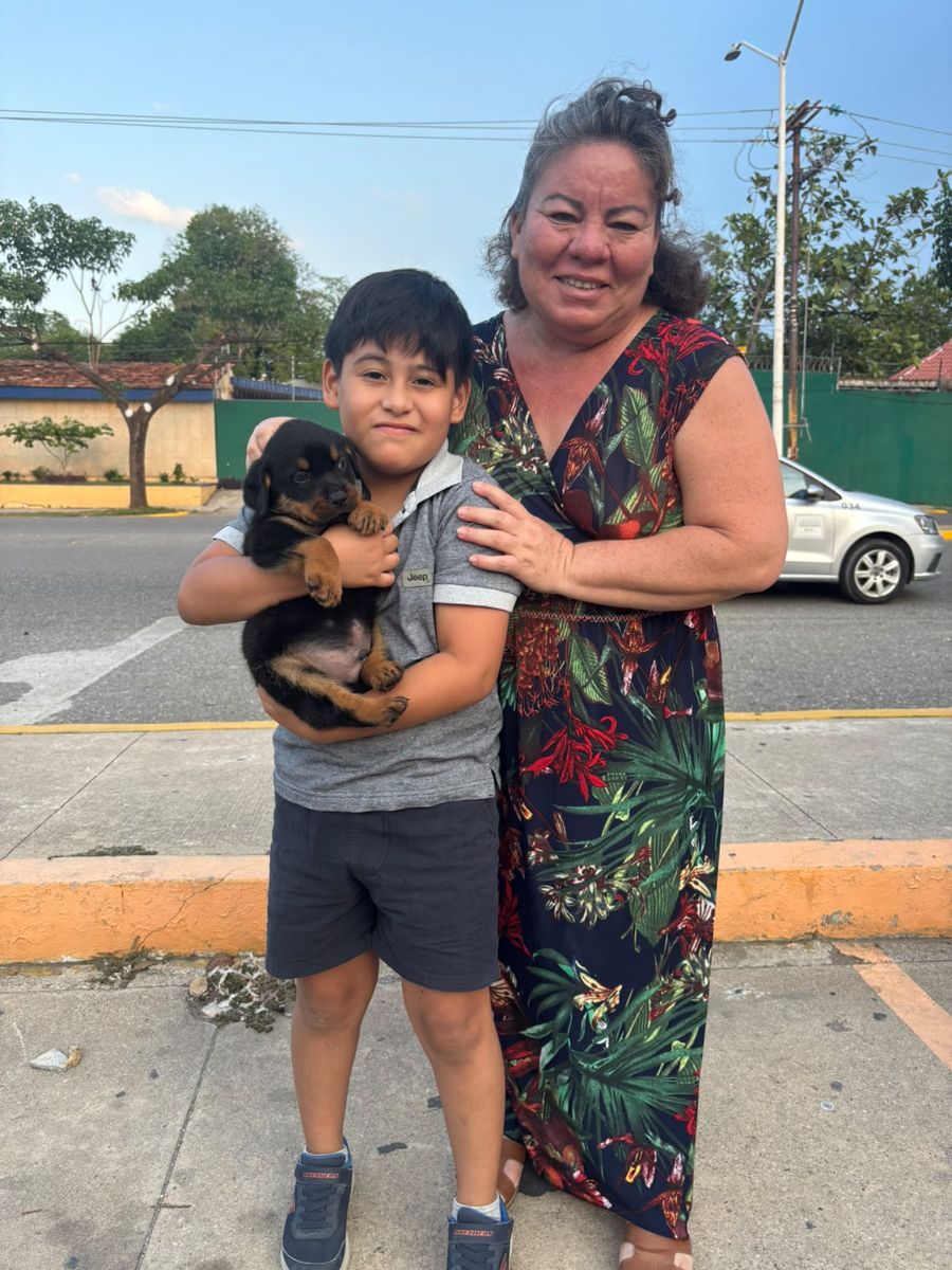 Rottweiler entregado en la Ciudad Deportiva