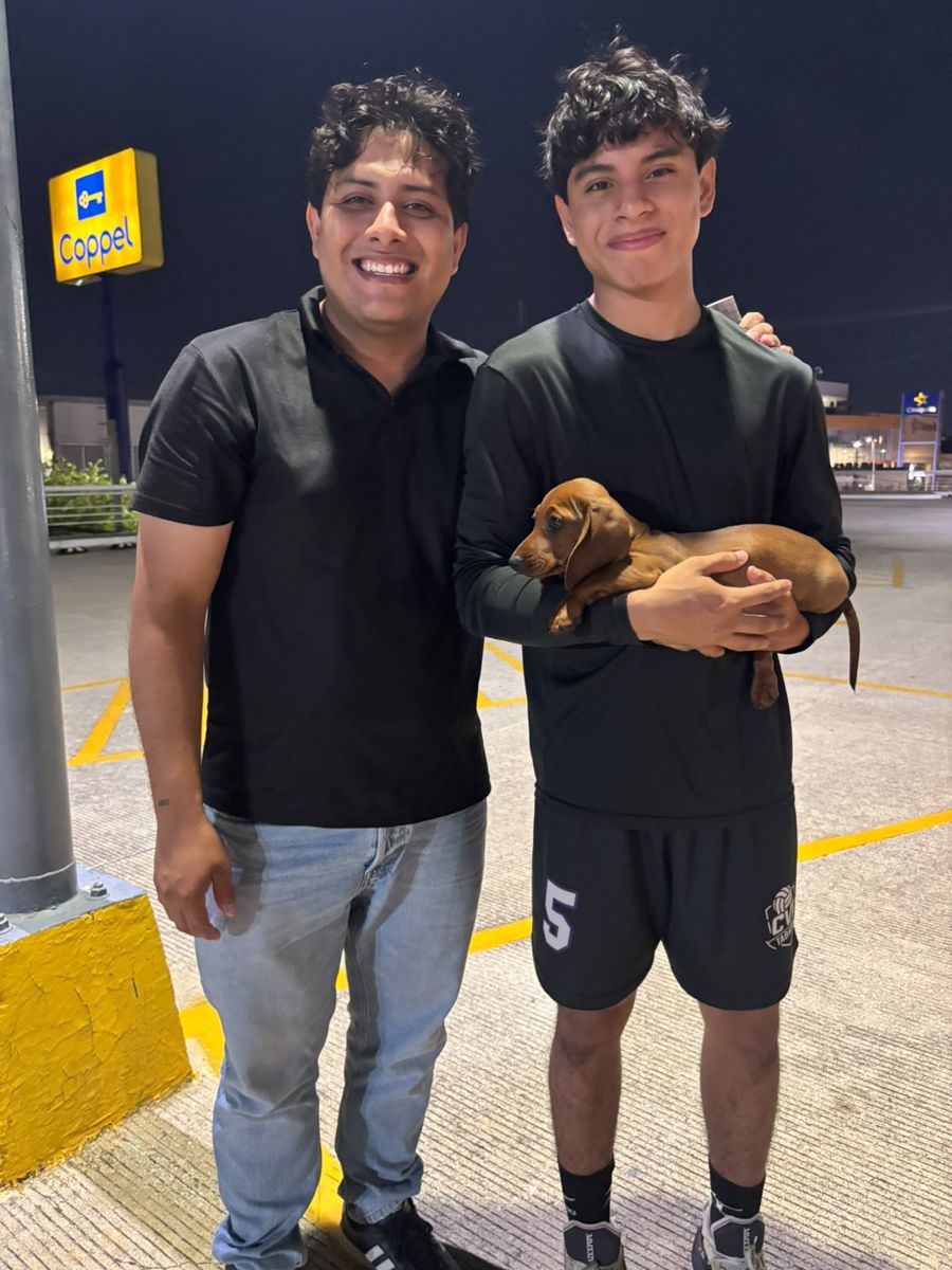 Salchicha entregado en Plaza Crystal