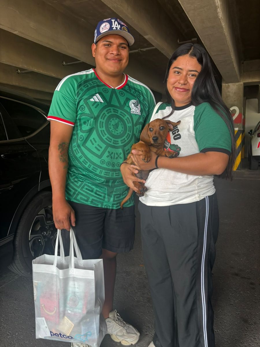 Salchicha entregado en Plaza Altabrisa