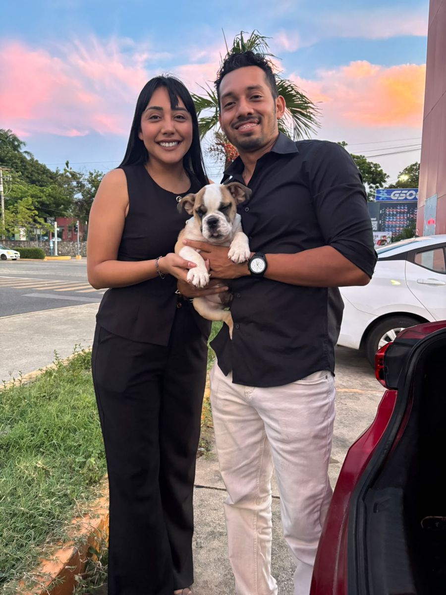 Bulldog inglés entregado en la Deportiva Villahermosa