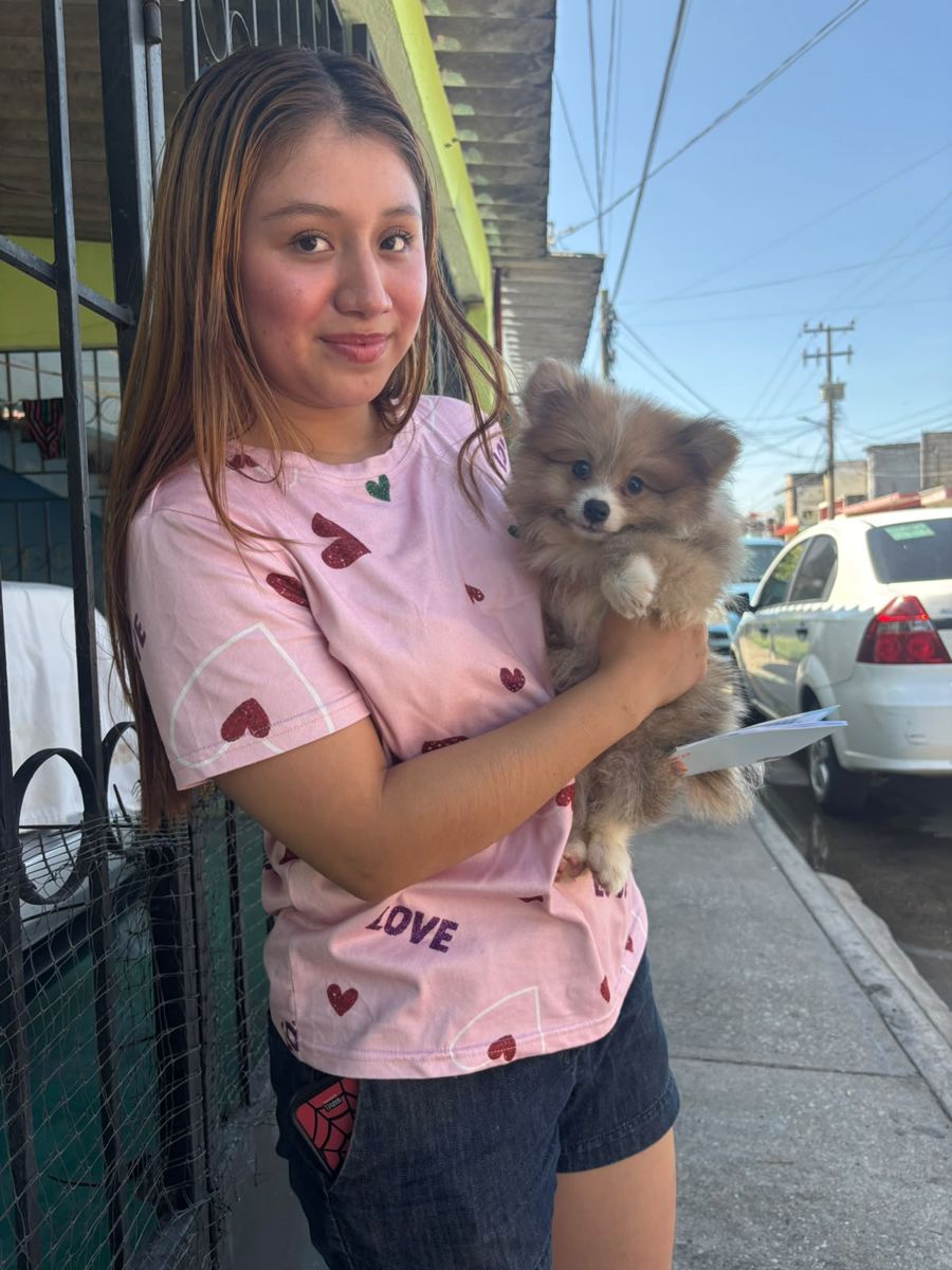 Pomerania entregado en Jalpa de Méndez
