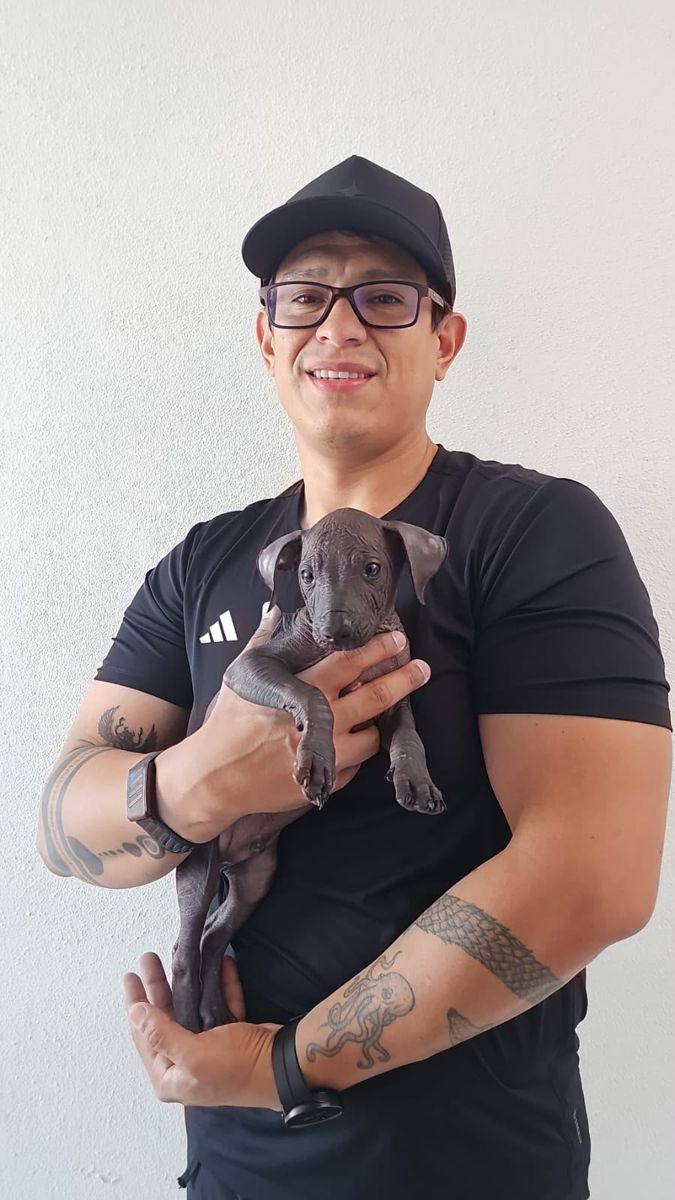 Xolo entregado en Villahermosa